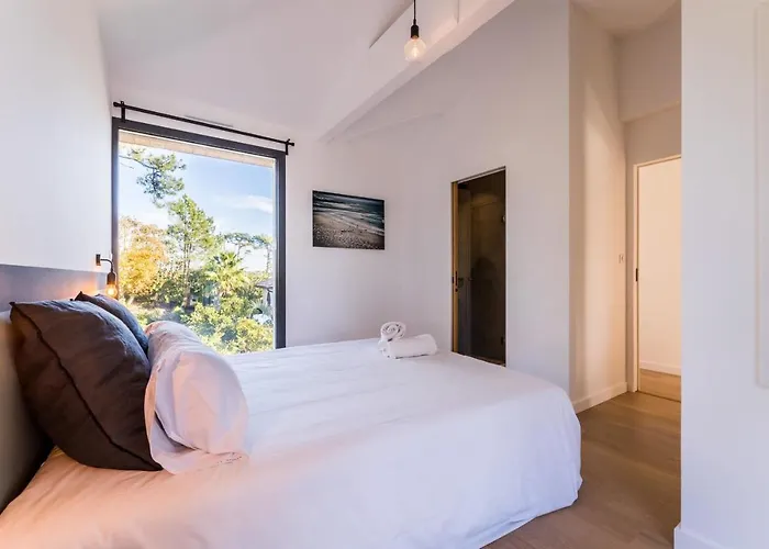 Spring Keyweek - Contemporary With Pool In The Hea Villa Anglet